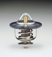 Термостат WV56FA88 TAMA