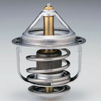 Термостат WV48B78 TAMA